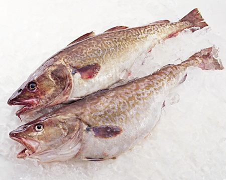 8 loại cá bổ dưỡng giàu omega-3 bậc nhất - ảnh 4